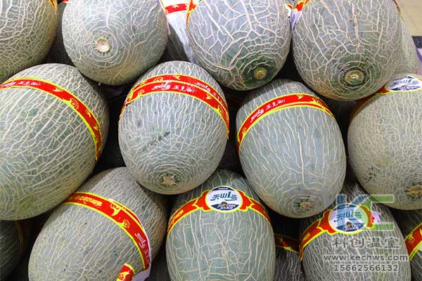 無土栽培，無土栽培技術(shù)，無土栽培設(shè)備