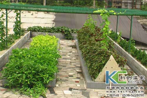 無土栽培，無土栽培技術(shù)，無土栽培設(shè)備